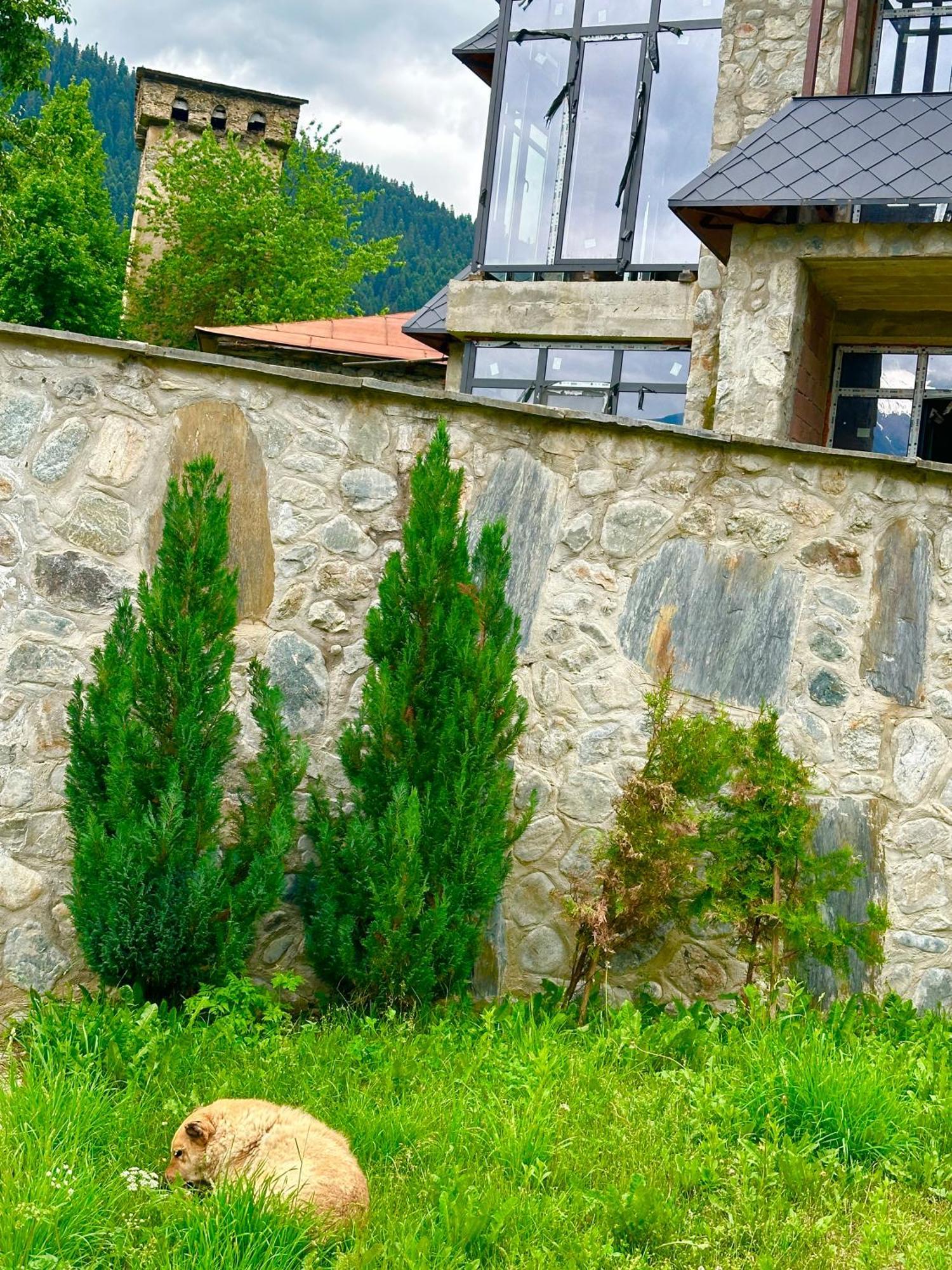 Mziuri Guest House Μέστια Εξωτερικό φωτογραφία