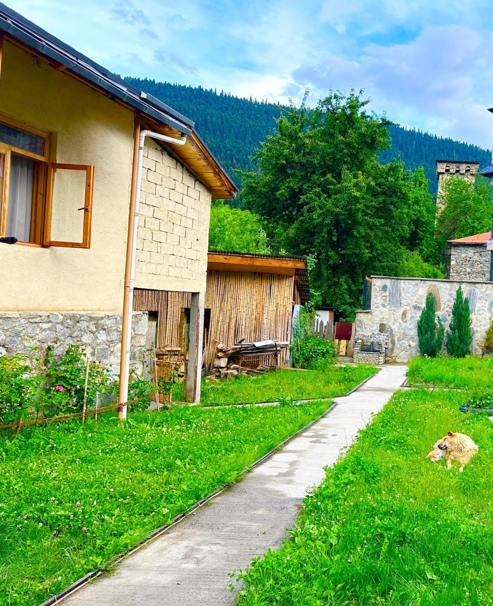 Mziuri Guest House Μέστια Εξωτερικό φωτογραφία